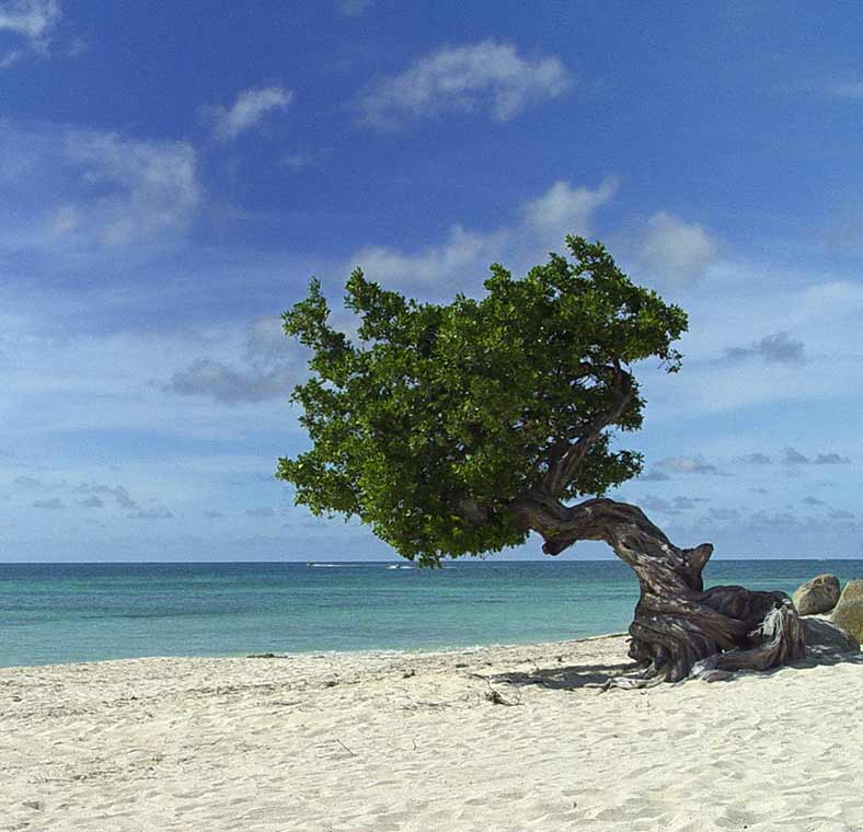 Top things to do in Aruba