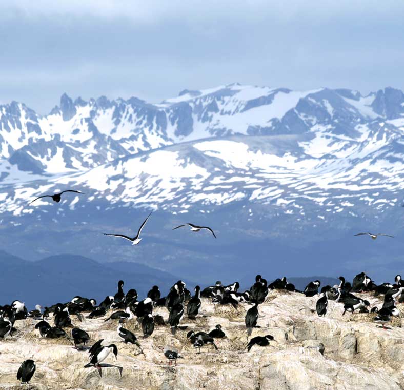 Top things to do in Chile