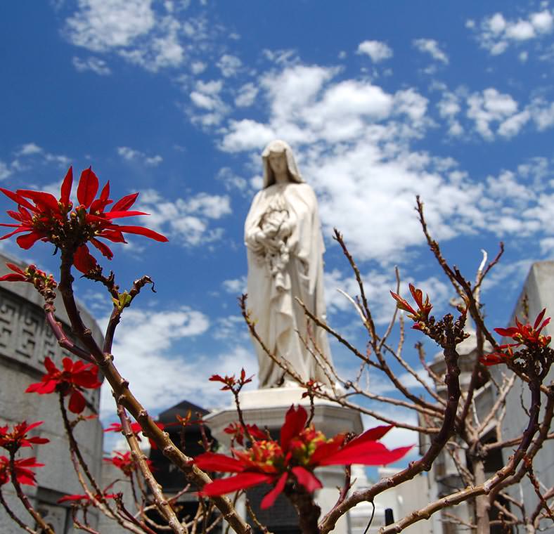 Top things to do in Buenos Aires