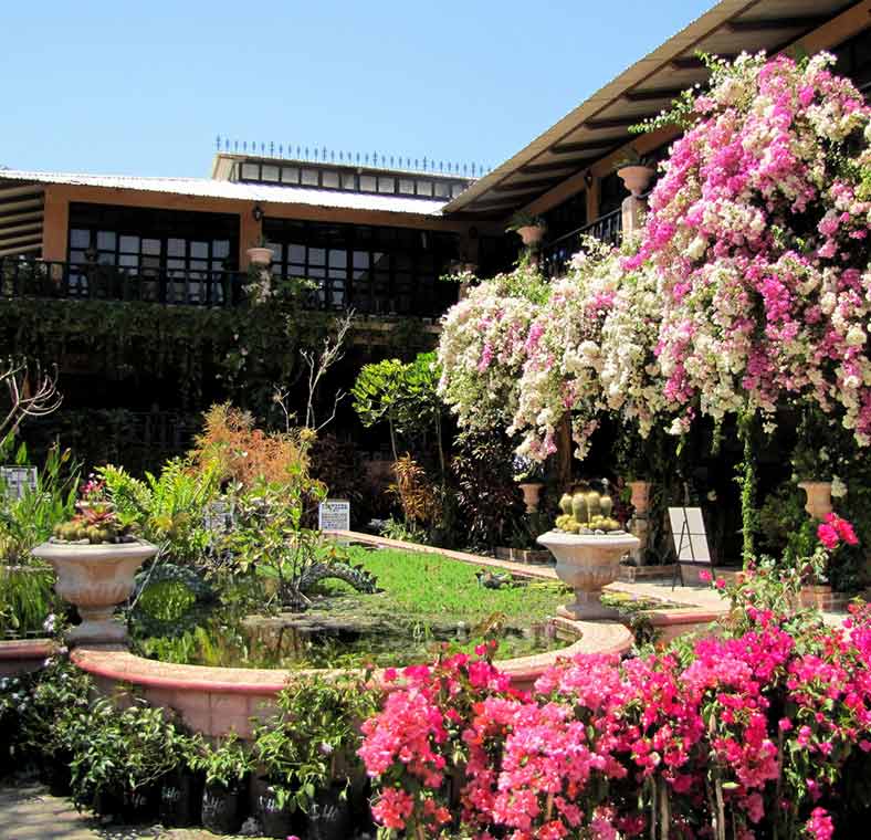 Top things to do in Puerto Vallarta