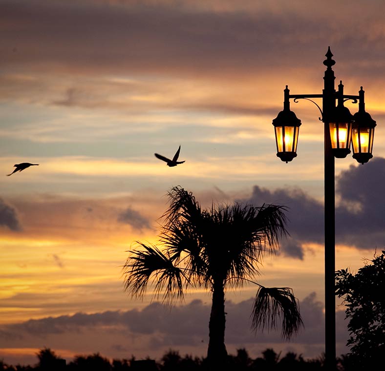 Top things to do in Key West