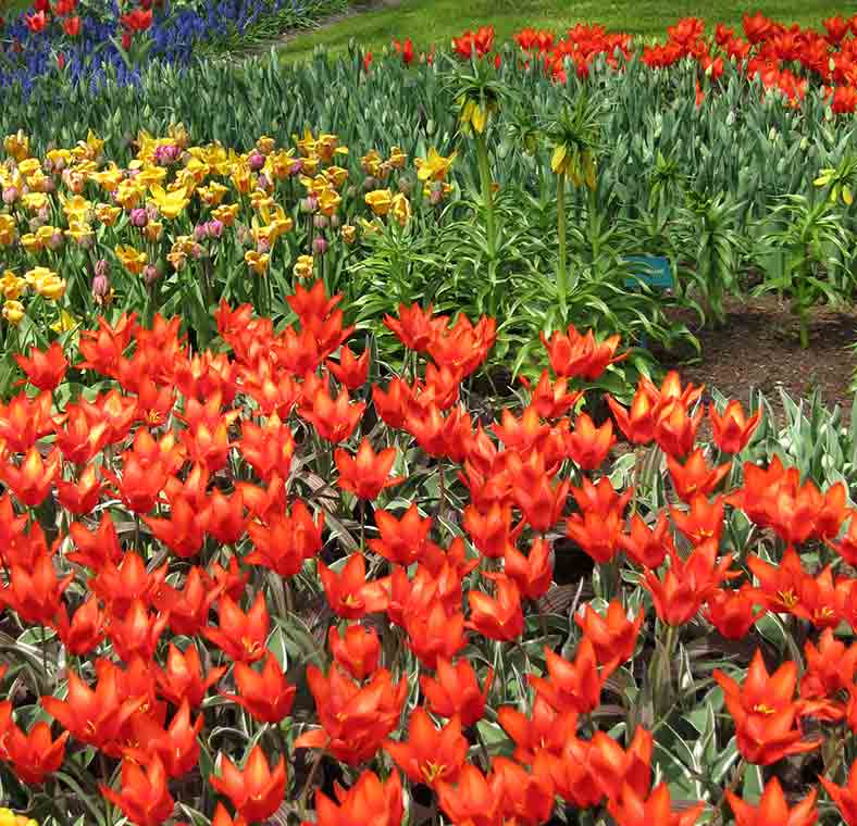 Top things to do in The Netherlands