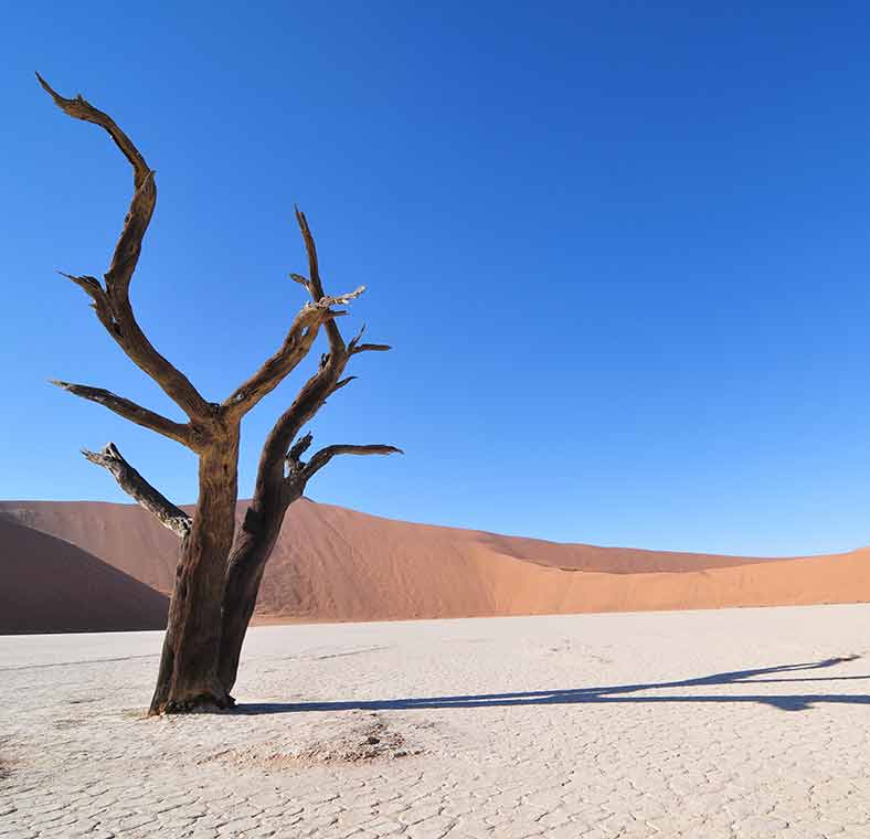 Namibia's amazing landscapes