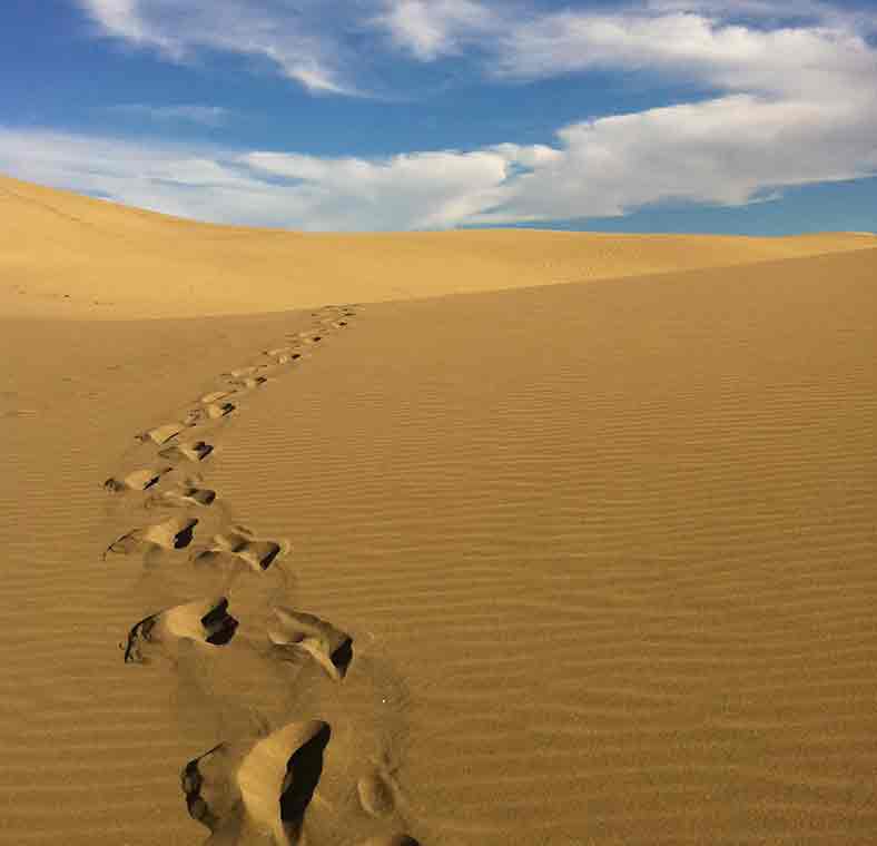 Top things to do in Gran Canaria
