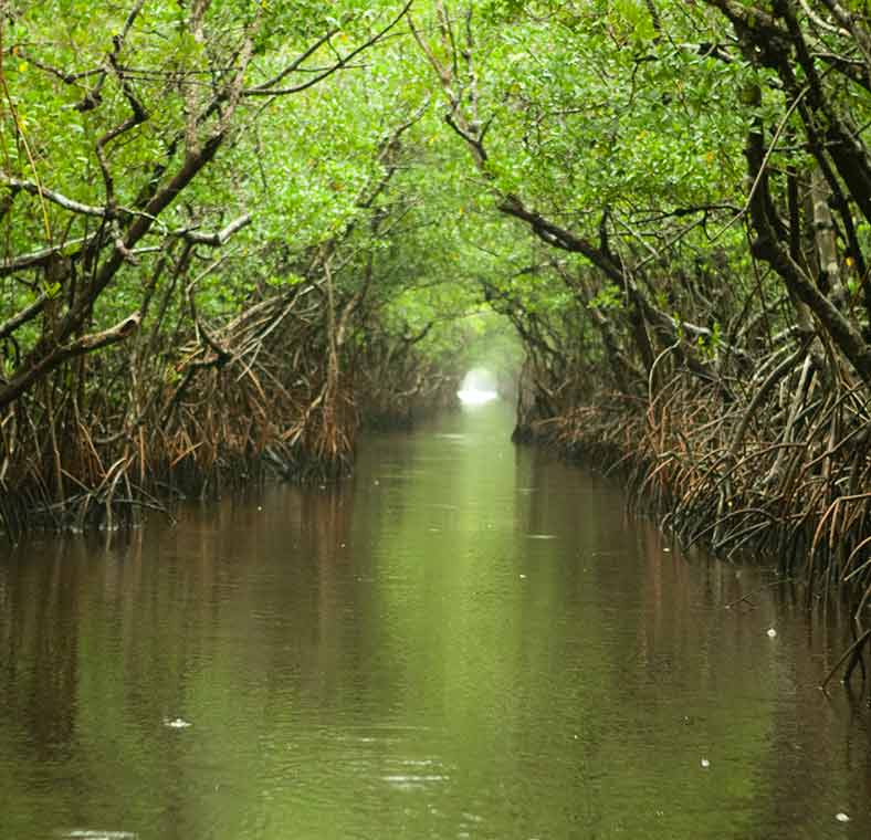 Top things to do in Florida