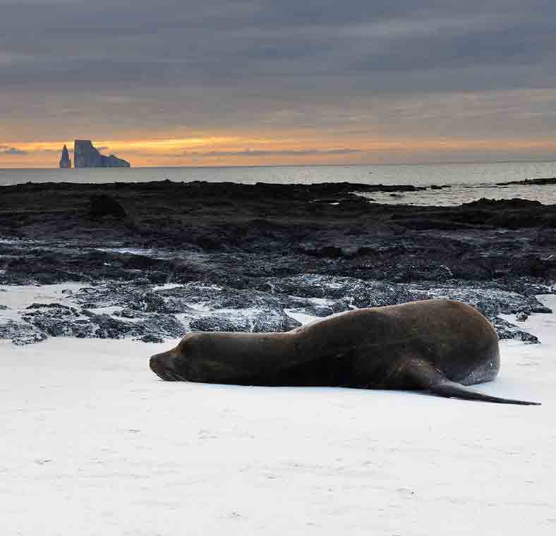 Top things to do in the Galápagos Islands