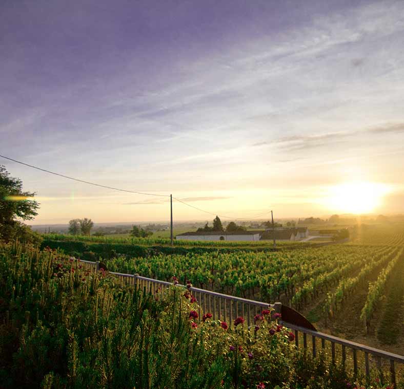 Top things to do in Bordeaux