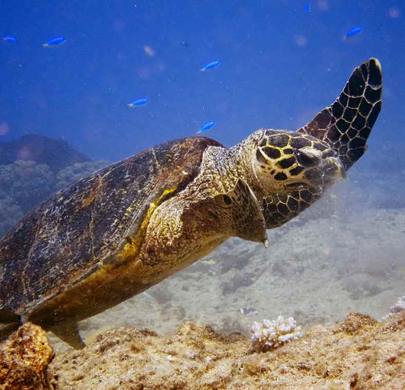 Top things to do in Noumea