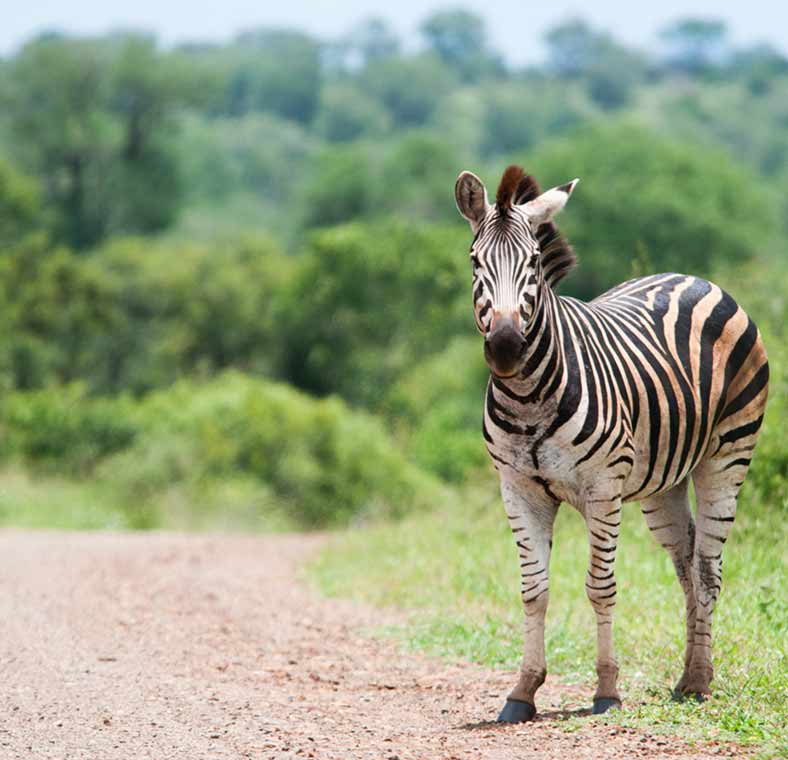 Top things to do in South Africa