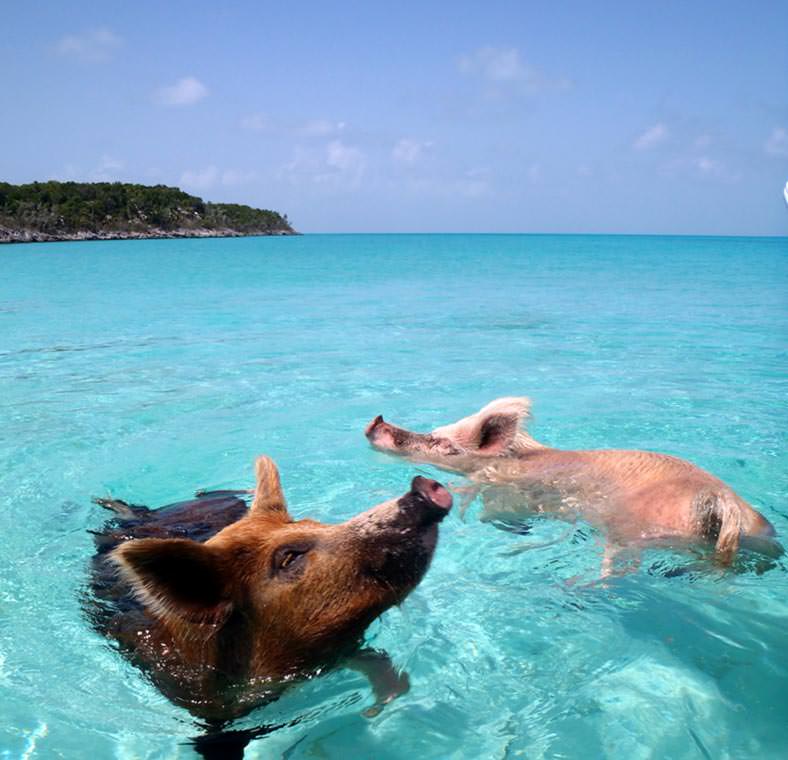 Top things to do in the Caribbean Islands