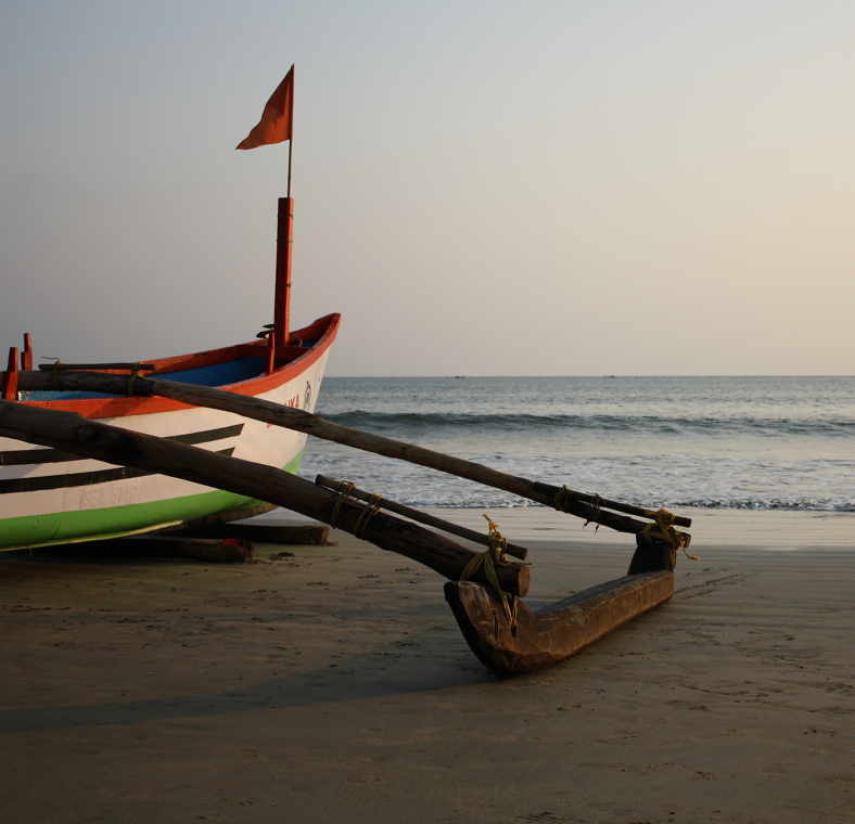 Top things to do in Goa