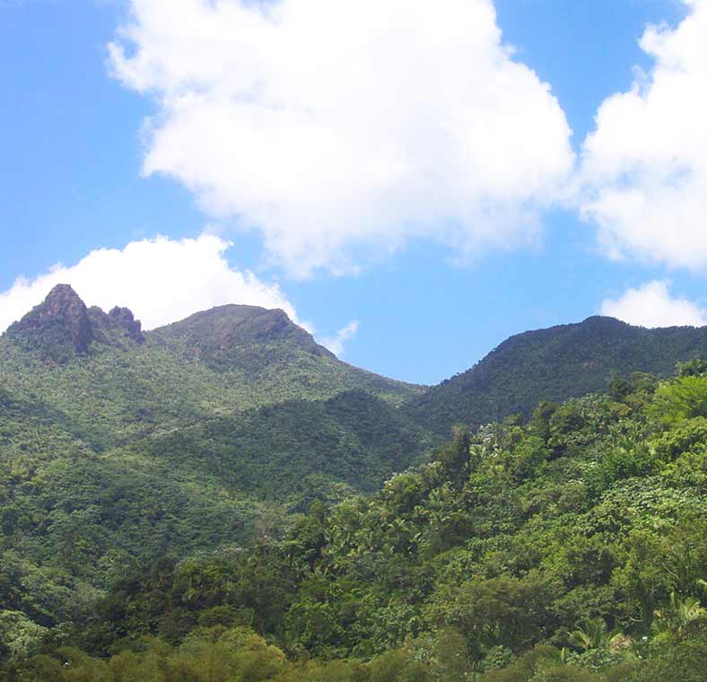 Wildlife watching in Puerto Rico