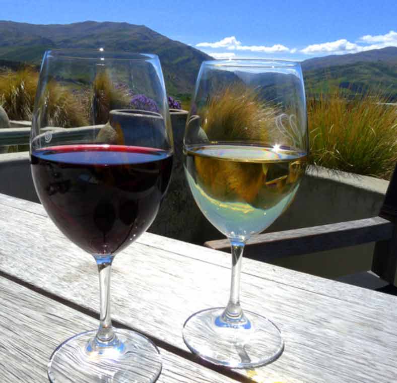 New Zealand for foodies