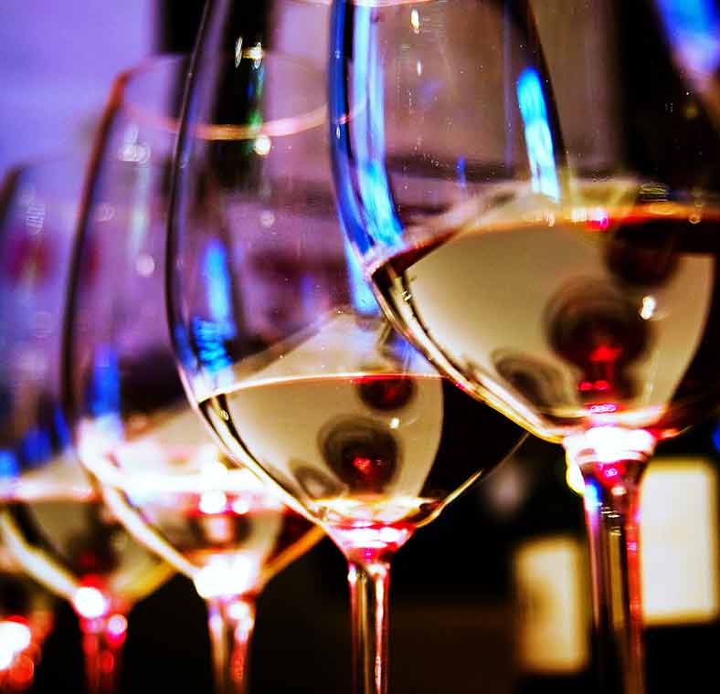 Top things to do in Mendoza