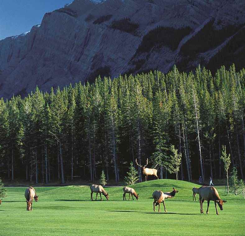 Best places to stay in North America