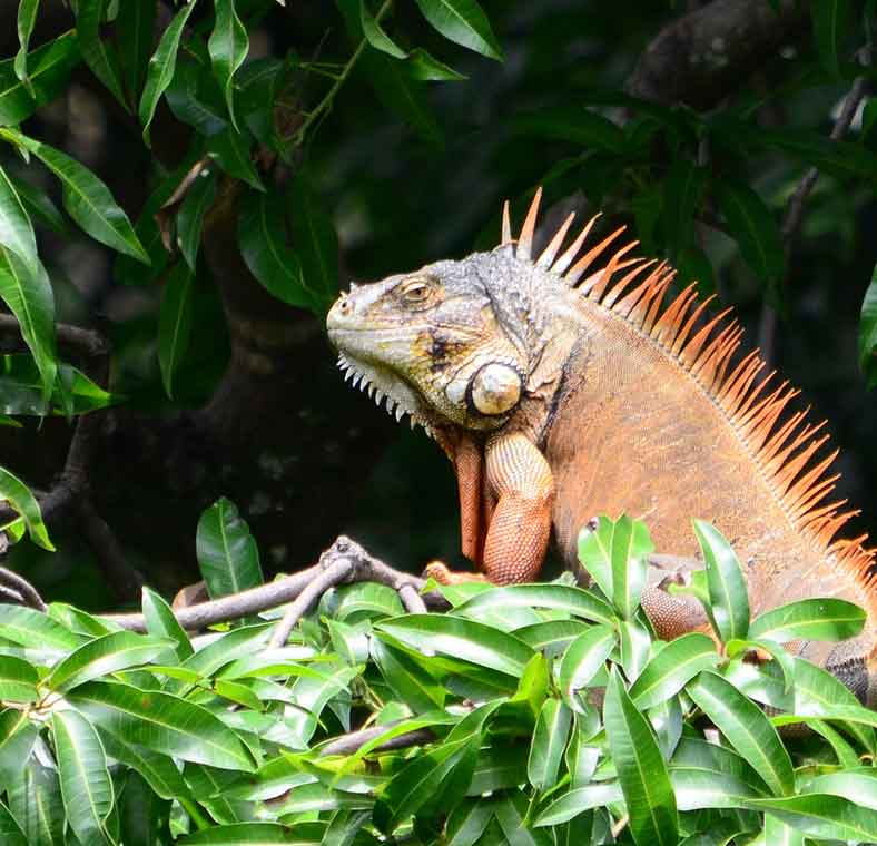 Top things to do in San Salvador