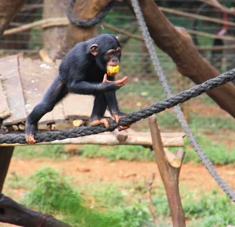 Top things to do in Sierra Leone