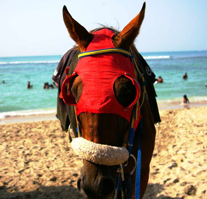 Top things to do in Jamaica