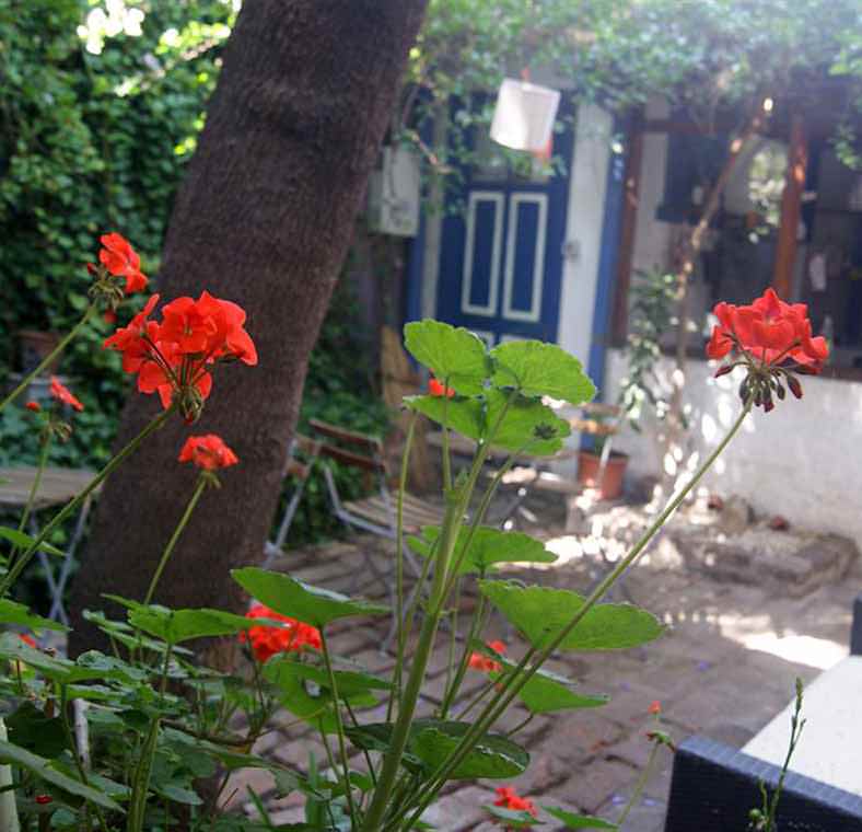 Chile Best places to stay in Chile