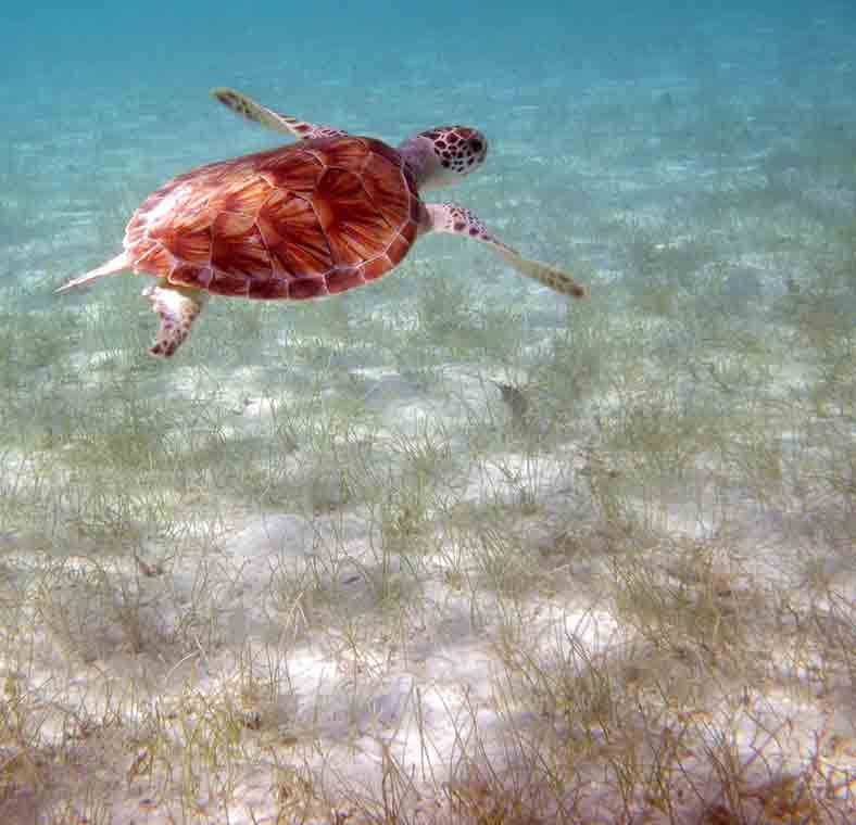 Family fun in the Caribbean Islands