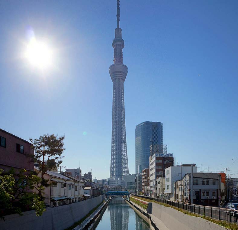 Top things to do in Tokyo