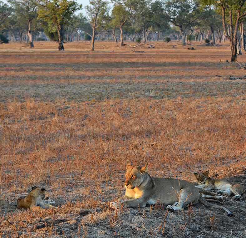Top things to do in Zambia