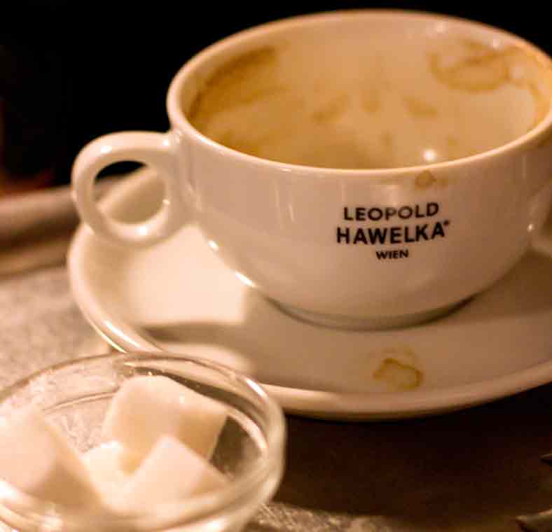 Vienna's coffee houses