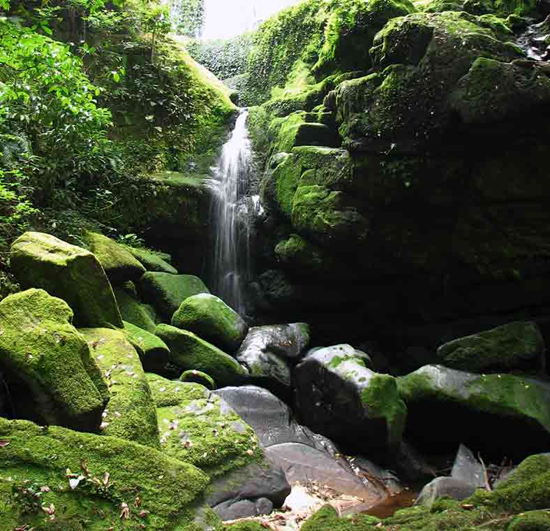 Top things to do in Gabon