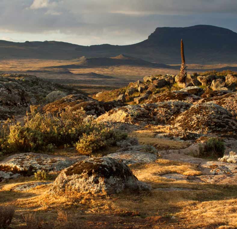 Top things to do in Ethiopia