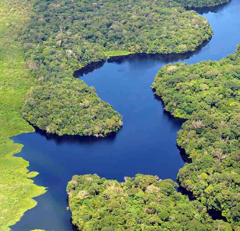 Top things to do in Manaus