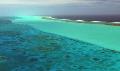 Wild Caribbean: Barrier Reef