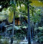 DAINTREE RETREAT-EXTERIOR