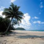 CAPE TRIBULATION BEACH