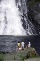 BLOOMFIELD WATERFALLS