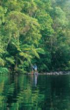 DAINTREE SWIMMING HOLE