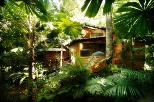 Rainforest Retreat