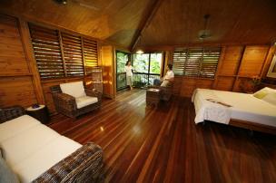Rainforest Retreat