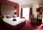 New Standard Room at The Bonham