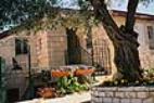 Avissar House