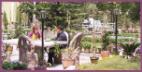 The Hotel Garden