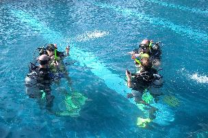 Diving Lesson