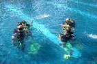 Diving Lesson