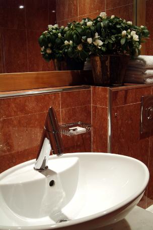 Bathroom Detail