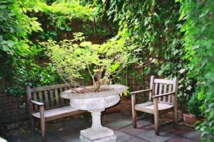 Back garden