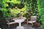Back garden