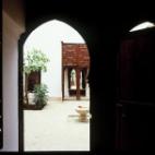 Palm Courtyard