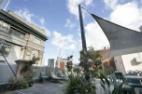 Rooftop Garden