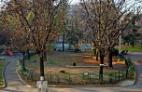 view front park