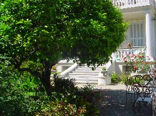 View from the garden