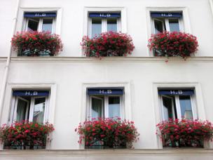 Windows